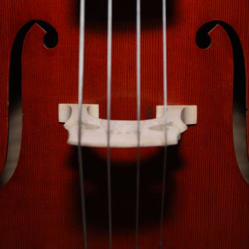 Le Violoncelle - Instrument Magique et Polyvalent – t.blog
